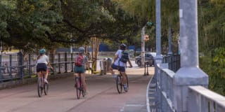 1155 Barton Springs Gallery 65