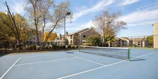 Harmony on Main Gallery 29