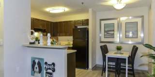 Elevate at Dawson Forest Gallery 7