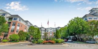 Sofi Lyndhurst Gallery 36