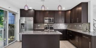 Luxury living in this bright, charming 3bd/2.5bth SF home in North Cleveland Park! Gallery 1
