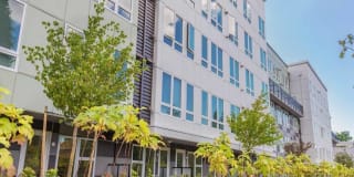 Edition Apartments Gallery 2