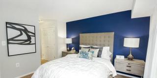 The Cloisters Gallery 53