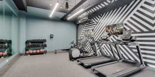 The Shale Gallery 26