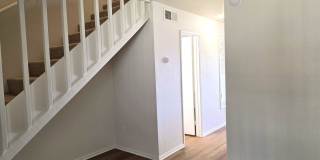 Holly Gallery 7