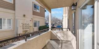 Avery at TownCentre Gallery 198