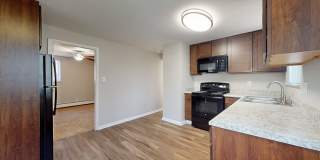 South Majestic Gallery 38