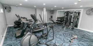 Champions Glen Gallery 14