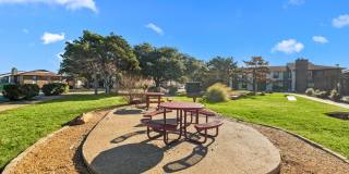 Pine Oaks Gallery 31