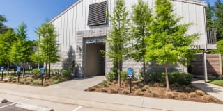 Biltmore Biltmore Gallery 66