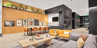 Amara Gallery 8