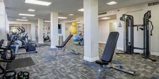 The Indigo Gallery 8