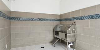 Ascend at Carlton Gallery 47