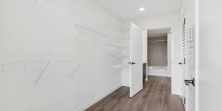 Everis Gallery 8