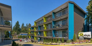 Raleigh Apartments Gallery 13