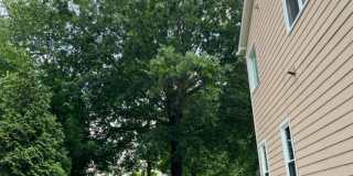 Fantastic 4br 2.5ba Home in Harrington Grove! Avail Now! Gallery 42