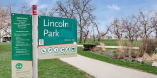 3100 North Lake Shore Dr. Gallery 3
