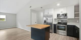 Remodeled 3BR/2BA Temple Terrace Home with Carport Gallery 12