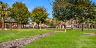 Kingwood Glen Gallery 28