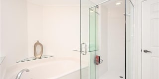 900 L Ambiance Cir Gallery 19
