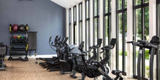 Windsor West Plano Gallery 28