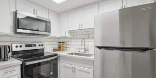 Aster on University Aster on University Gallery 1