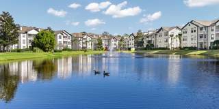 Vinoy St Johns Gallery 12