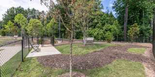 Sugarloaf Walk Gallery 21