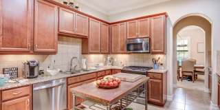 7137 Vilano Lane Gallery 7