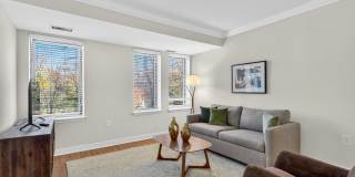 The Saratoga Gallery 9