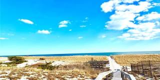 253 Dune Gallery 17
