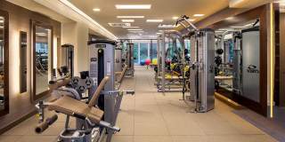 The Larstrand Gallery 11