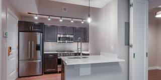 Abraxas at 90 State Gallery 8