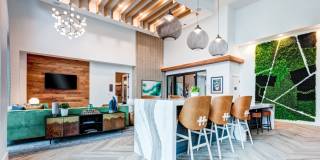 Lakeshore Pearl Gallery 21