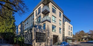 The Marilyn Gallery 42