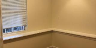 42861 GENUINE REWARD Court Gallery 22
