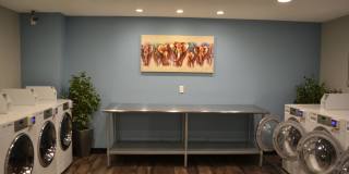The Court at Northgate Gallery 97