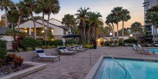 Sabal Palm at Lake Buena Vista Gallery 27