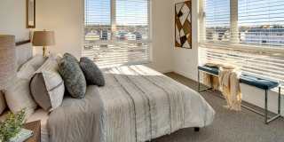 Cypress Gallery 11