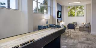 The Indigo Gallery 11