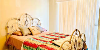 3204 SABAL PALMS COURT Gallery 13