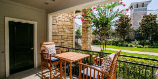 Aliso Briar Forest Gallery 16