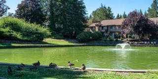 Bellevue Meadows Gallery 34
