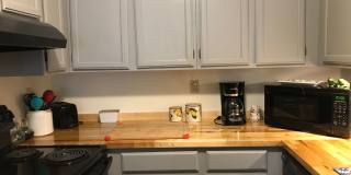 4-Bedroom Student Townhomes in the Heart of Burlington Gallery 39