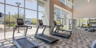 Essence Essence Gallery 17