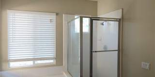 47 Straw Flower 47 Straw Flower Gallery 1