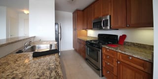 Dorchester Gallery 25