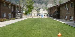 1127 E 960 S - 13 Gallery 1