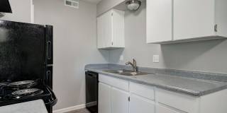 1 Bed 1 Bath Apartment Gallery 13