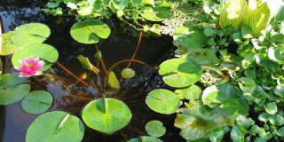 6006 HUNT RIDGE CT #2522 Gallery 12